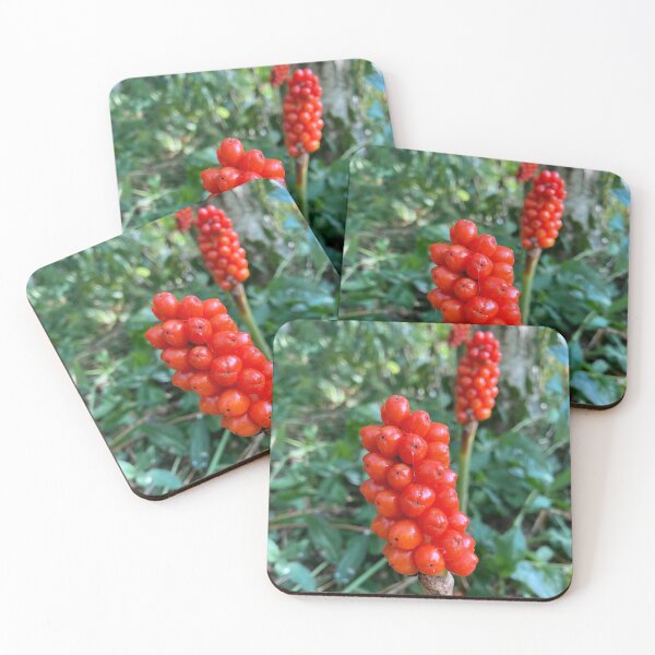 Item preview, Arum Italicum designed and sold by OByD.