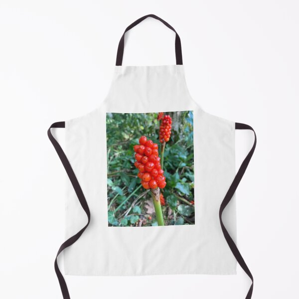 Item preview, Arum Italicum designed and sold by OByD.