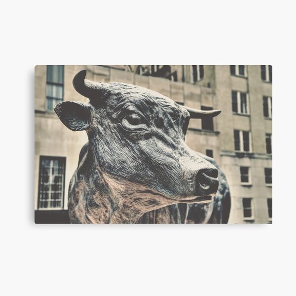 The Bull of Durham Canvas Print