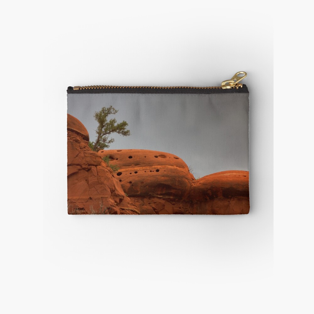 Vista previa del artículo con la obra «Bolsos de mano», diseñado y vendido por boblarsonphoto.