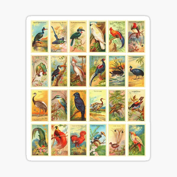 Retro Vintage Birds Pattern, Bird, Retro, Birds, Vintage, Pattern, Classic Sticker