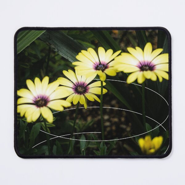 Item preview, Yellow Cape Marguerite Daisy Geometric designed and sold by Robtography.