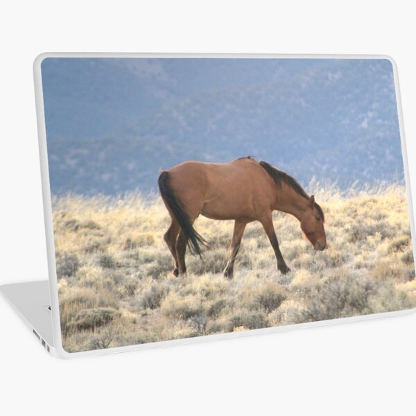 New Guy On The Bench Laptop Skin