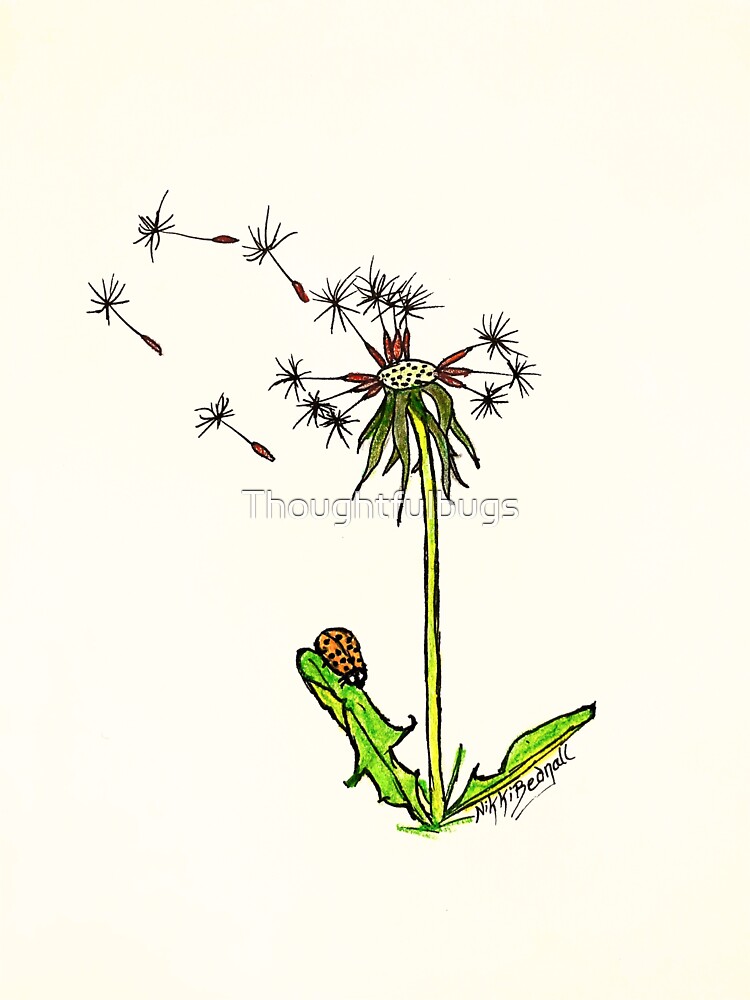 Dandelion Clock by Thoughtfulbugs