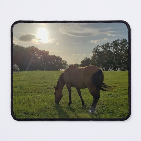 Item preview, Horses grazing in a farm field in Florida designed and sold by ZCS2014.