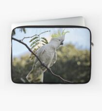Sulfur crested cockatoo Laptop Sleeve