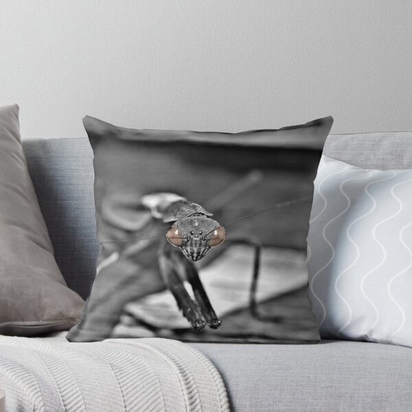 Item preview, mantis  designed and sold by paul gavin.