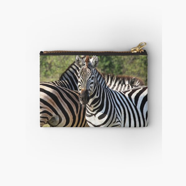 Item preview, Zebra at Kwara designed and sold by Peter Edwards.