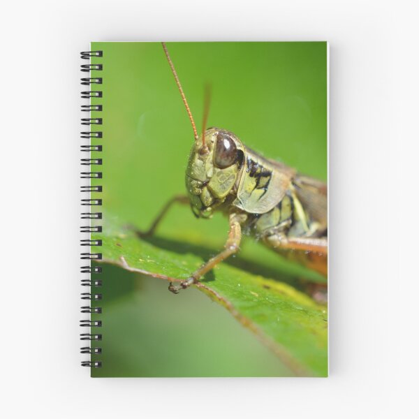 Item preview, grass hopper  designed and sold by paul gavin.