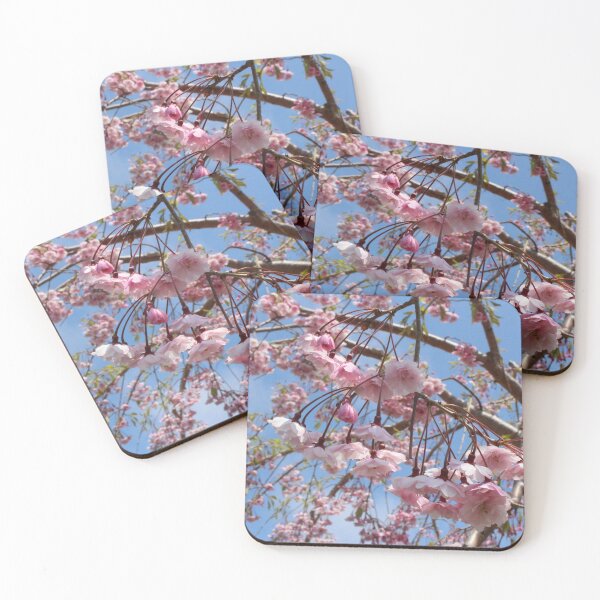 Item preview, Pastel Pink Sakura Cherry Blossoms Under Clear Blue Skies designed and sold by citrusapple.