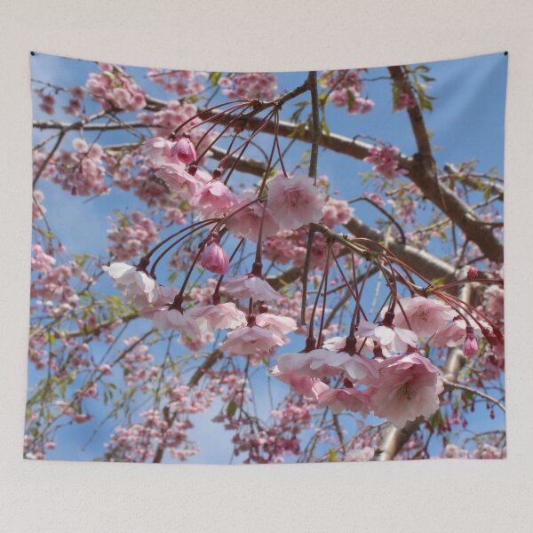 Item preview, Pastel Pink Sakura Cherry Blossoms Under Clear Blue Skies designed and sold by citrusapple.