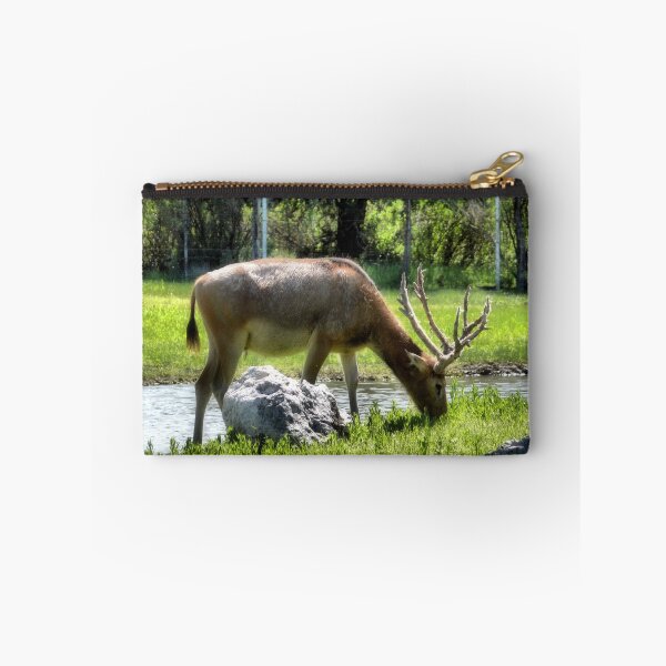 Item preview, A Six Pointer  ( Wild Life Preserve ) designed and sold by Carla Jensen.