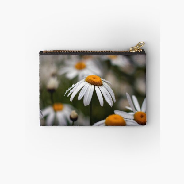 Item preview, Daisies designed and sold by Sam Warner.