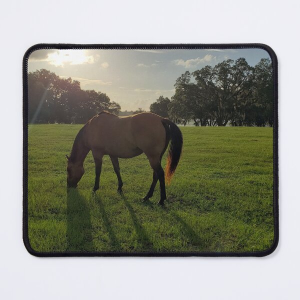 Item preview, Horses grazing in field in Ocala, Florida designed and sold by ZCS2014.