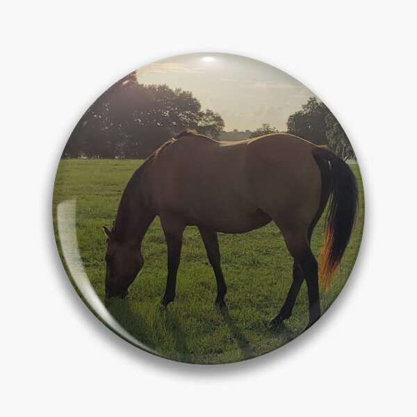Item preview, Horses grazing in field in Ocala, Florida designed and sold by ZCS2014.