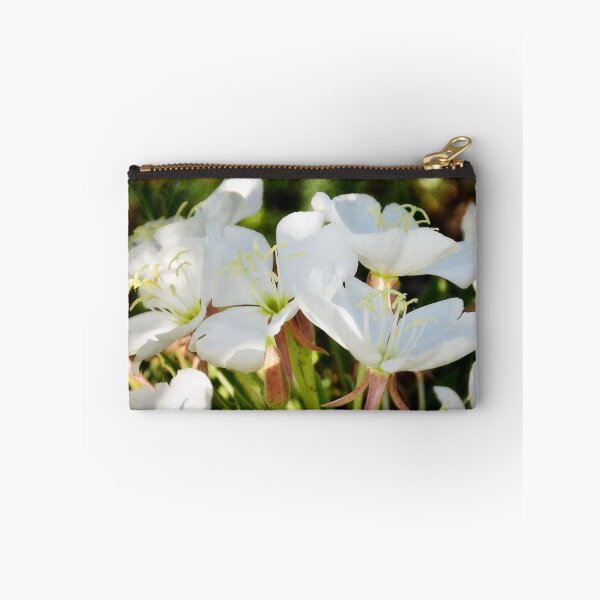 Item preview, Fragrant Evening Primrose-Oenothera caespitosa designed and sold by Saija  Lehtonen.