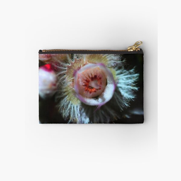 Item preview, Verticordia albida designed and sold by andrachne.