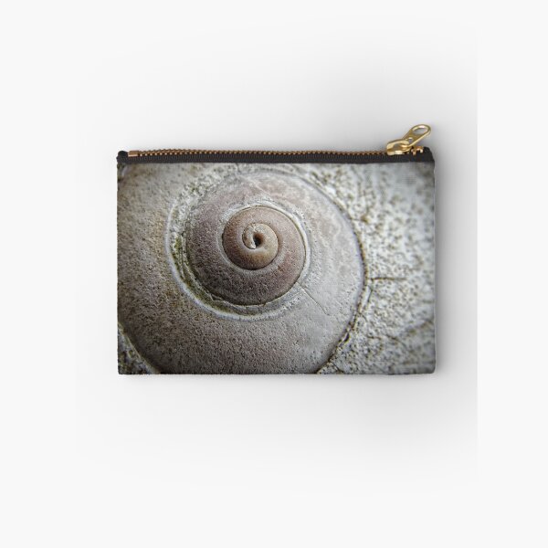 Item preview, She Sells Seashells designed and sold by Heather Haderly.