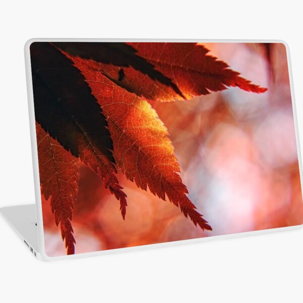 Japanese Maple Leaves Laptop Skin