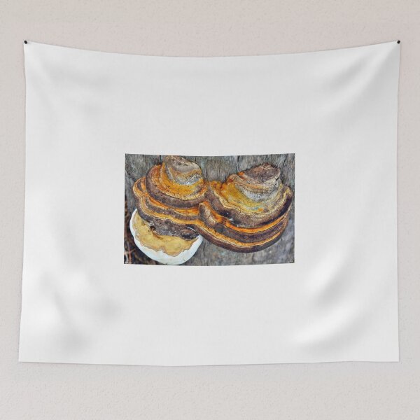 Item preview, Mushroom Layers designed and sold by LisaWootenPhoto.