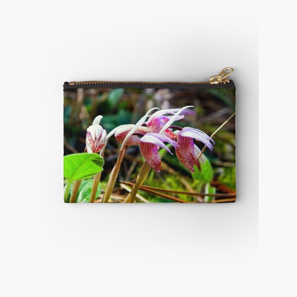 Artikelvorschau, Fairyslipper - Calypso bulbosa entworfen und verkauft von amontanaview.
