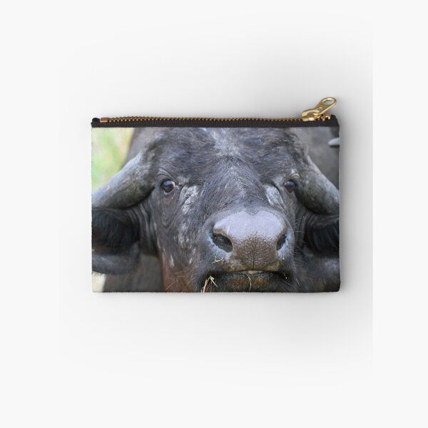 Item preview, Cape buffalo -up close and personal! designed and sold by Anthony Goldman.