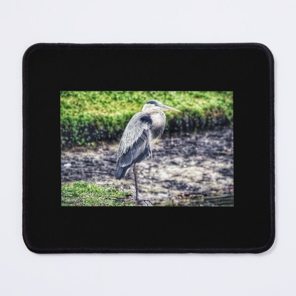 Item preview, Blue Heron at the Lake designed and sold by Jennifer Phipps.
