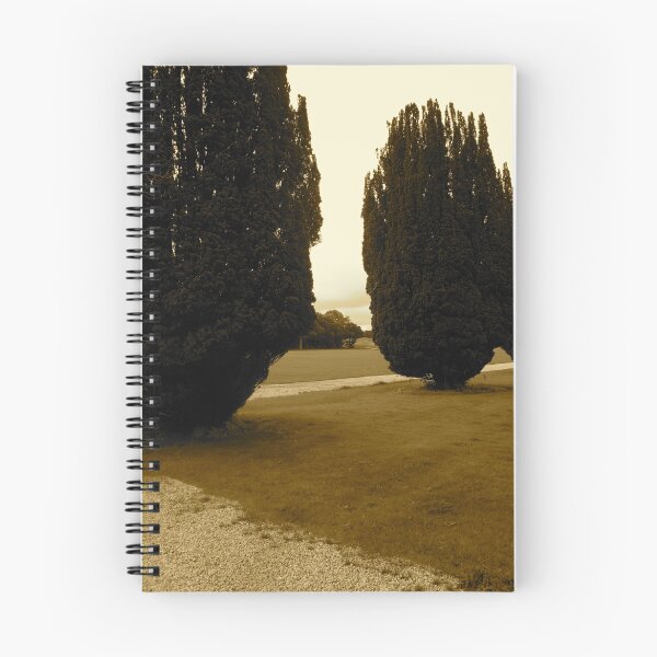 Item preview, Trees -Castle Marter, Ireland designed and sold by Jenny Hambleton.