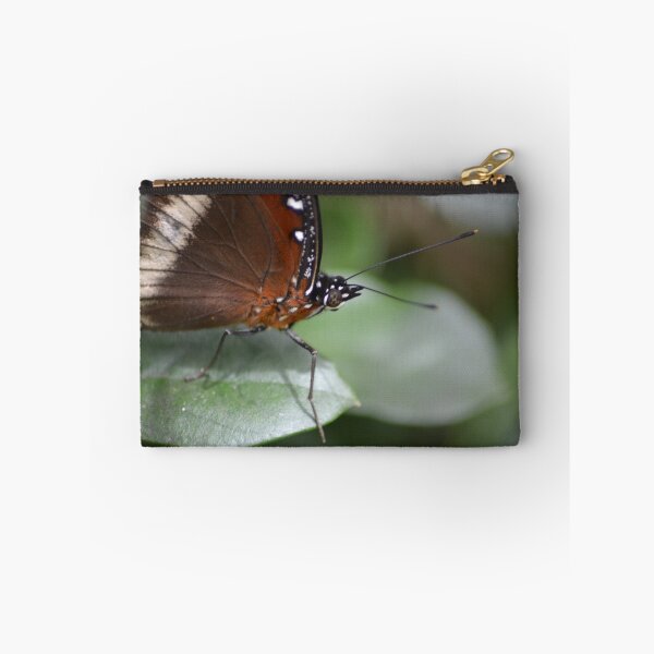 Artikelvorschau, Butterfly Close Up entworfen und verkauft von TheaShutterbug.