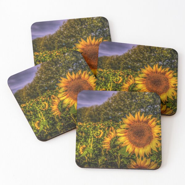 Item preview, Field of Sunflowers designed and sold by Connellphoto.