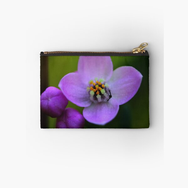 Item preview, Boronia safrolifera designed and sold by andrachne.