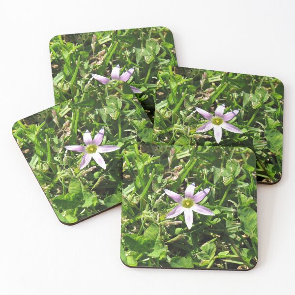 Item preview, Onion grass flower designed and sold by greentiger1.