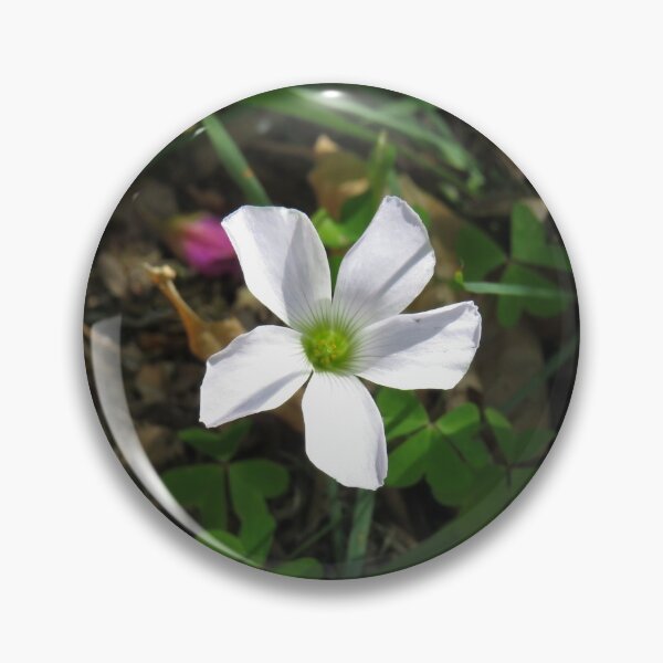 Item preview, White oxalis flower designed and sold by greentiger1.