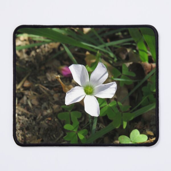 Item preview, White oxalis flower designed and sold by greentiger1.