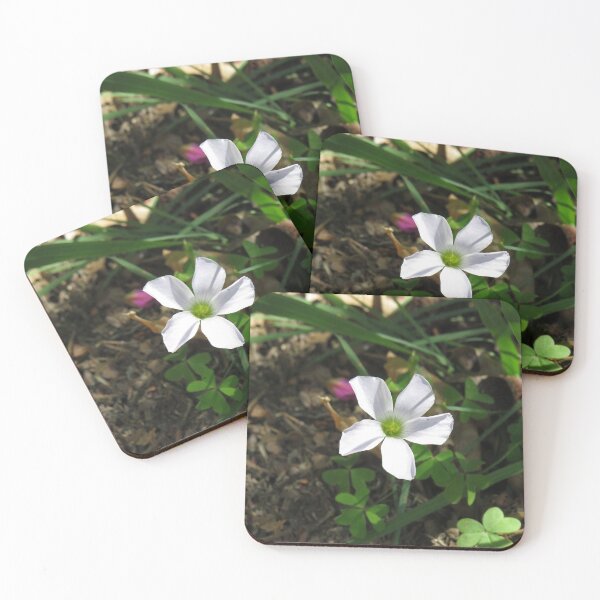 Item preview, White oxalis flower designed and sold by greentiger1.