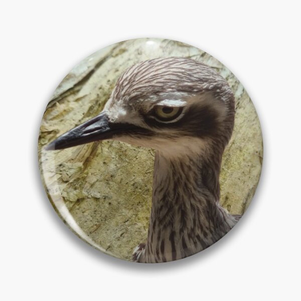 Item preview, Curlew on Bark Background designed and sold by TeeRayBee.