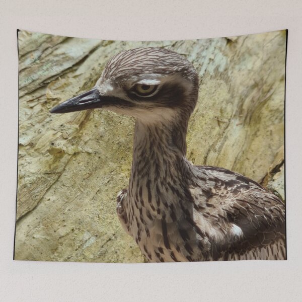 Item preview, Curlew on Bark Background designed and sold by TeeRayBee.