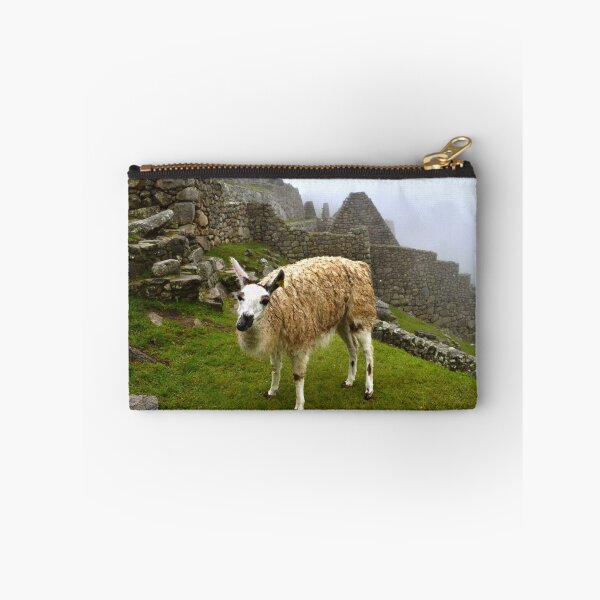 Item preview, Llama in Machu Picchu ruins designed and sold by Daniele Iengo.