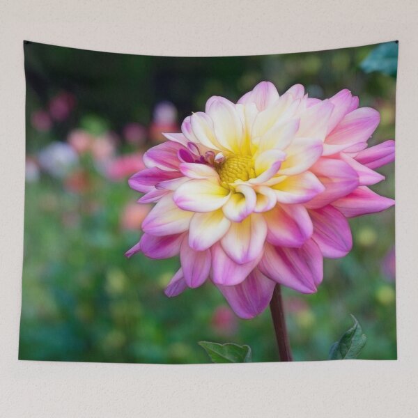 Item preview, Pink & White Dalia  designed and sold by SherryWyneArt.