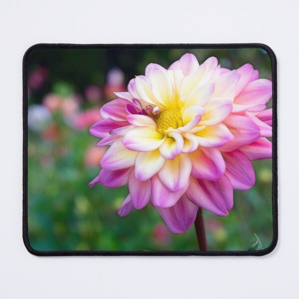 Item preview, Pink & White Dalia  designed and sold by SherryWyneArt.