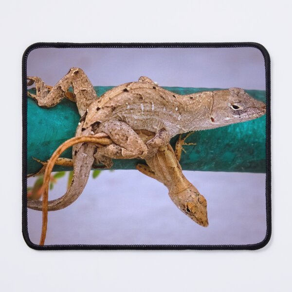 Item preview, Lizard's love designed and sold by Zina Stromberg.