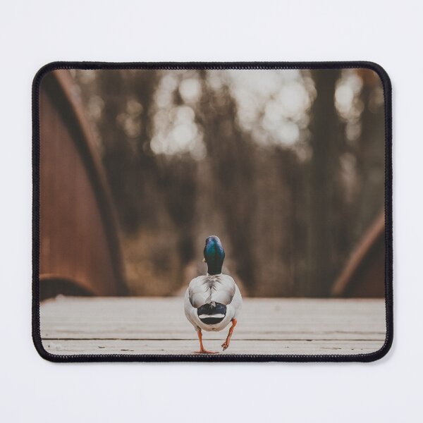 Item preview, Mallard Duck Walking Away designed and sold by dev11588.
