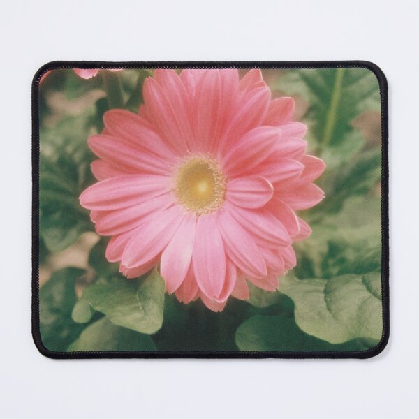 Item preview, Soft Pink Daisy designed and sold by remiliskos.