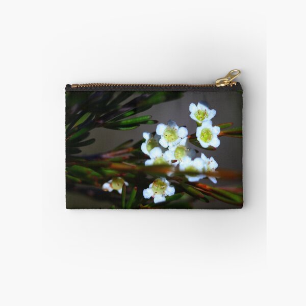 Item preview, Ochrosperma lineare designed and sold by andrachne.