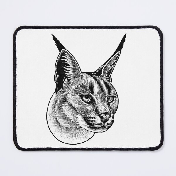 Item preview, Caracal - small wild cat designed and sold by LorenDowding.