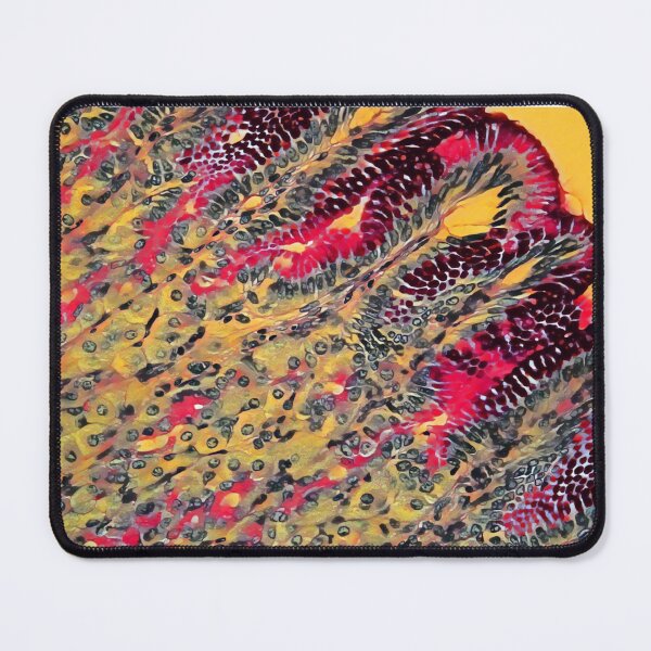 Item preview, Stomach PAS designed and sold by Love Histology.