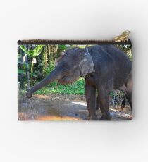 Water for Elephant Studio Pouch