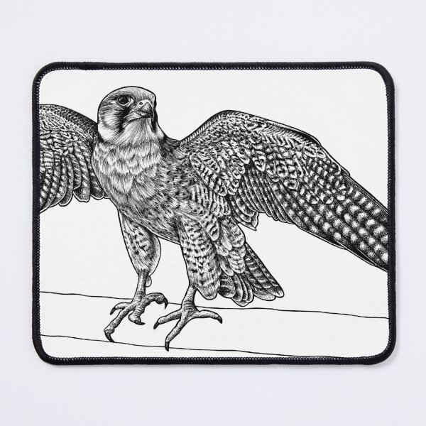 Item preview, Lanner falcon - ink illustration designed and sold by LorenDowding.