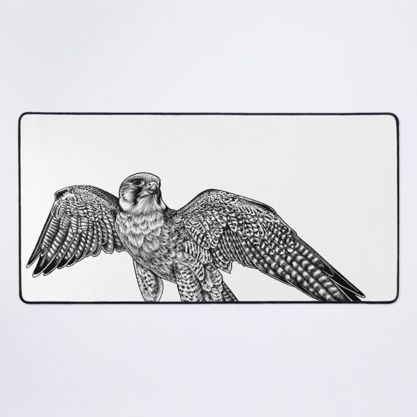 Item preview, Lanner falcon - ink illustration designed and sold by LorenDowding.