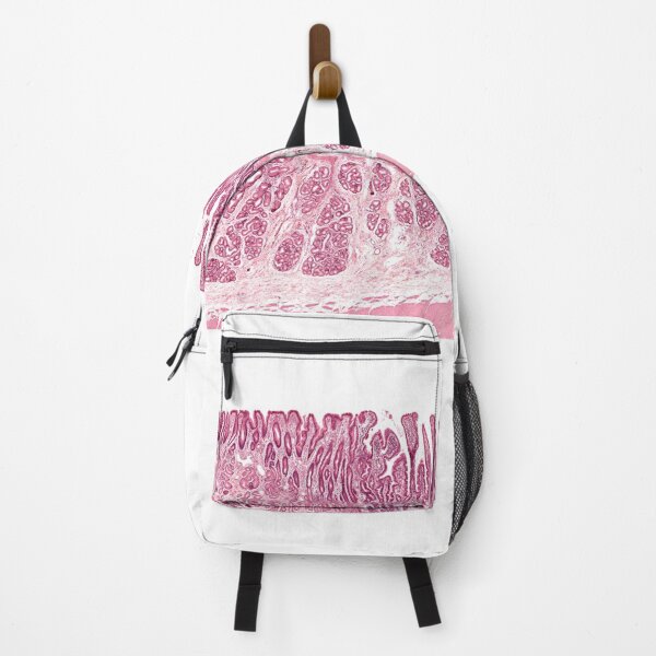 Item preview, Gastroduodenal Junction designed and sold by Love Histology.